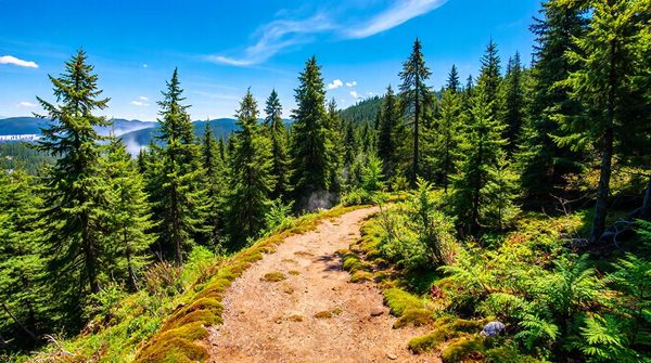 Découvrez les top destinations et astuces pour le hors-piste